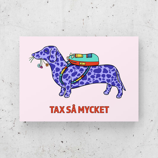 Tax Så Mycket Greeting Card