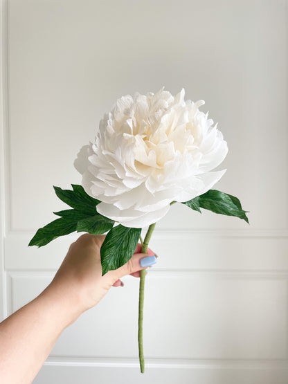 Peony Paper Flower