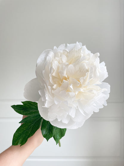 Peony Paper Flower