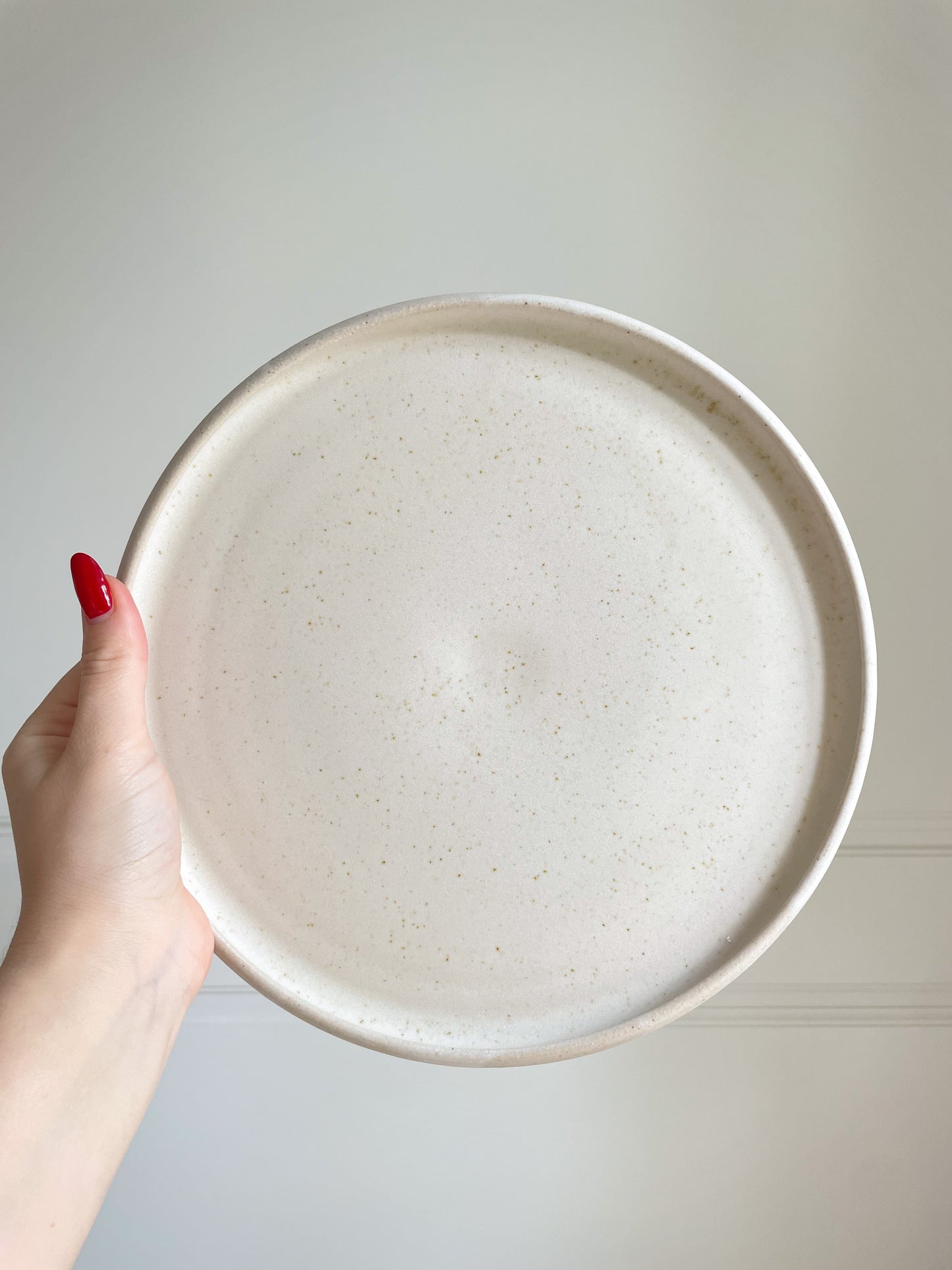 Large Neutral Speckled Plate