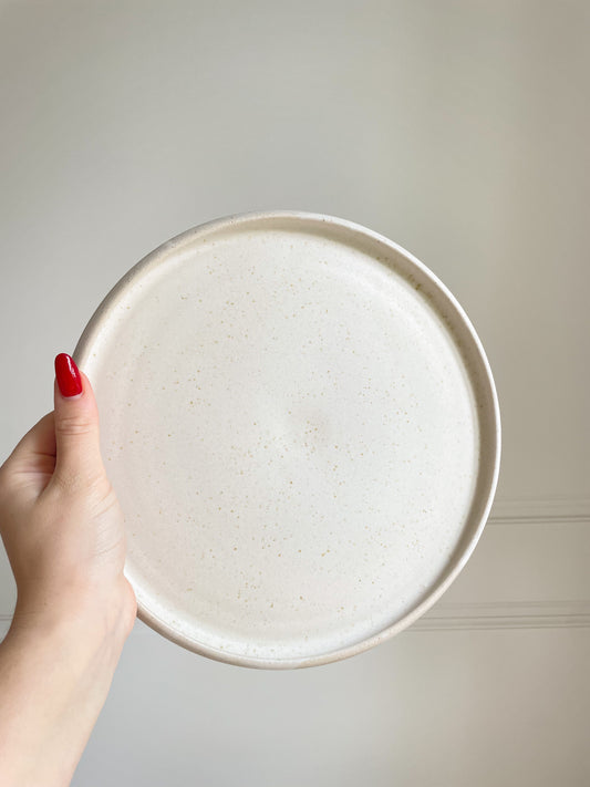 Large Neutral Speckled Plate