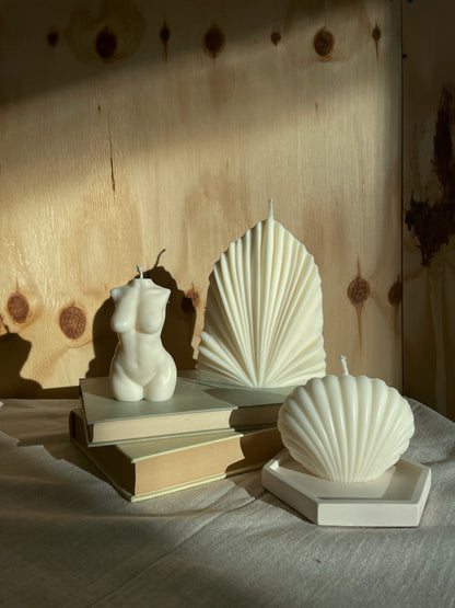 Shell Candle