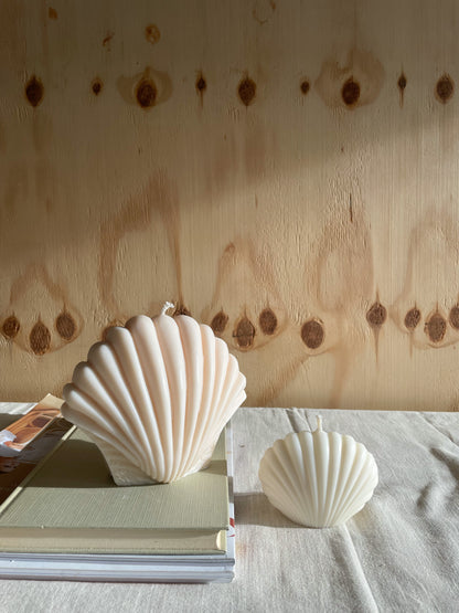 Shell Candle