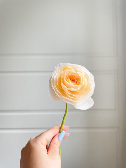 Ranunculus Paper Flower